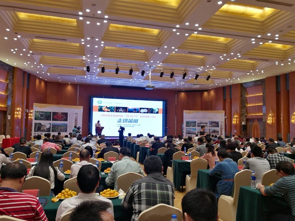 俄罗斯·专享会294VIP(中国区)官方网站