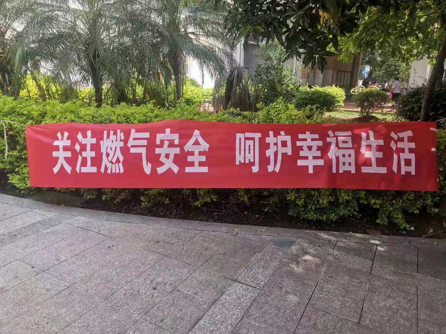 20216821482316423